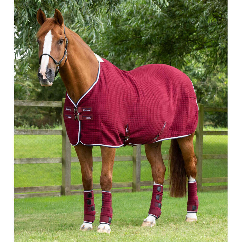 Camicia di asciugatura per cavalli Premier Equine Premtex