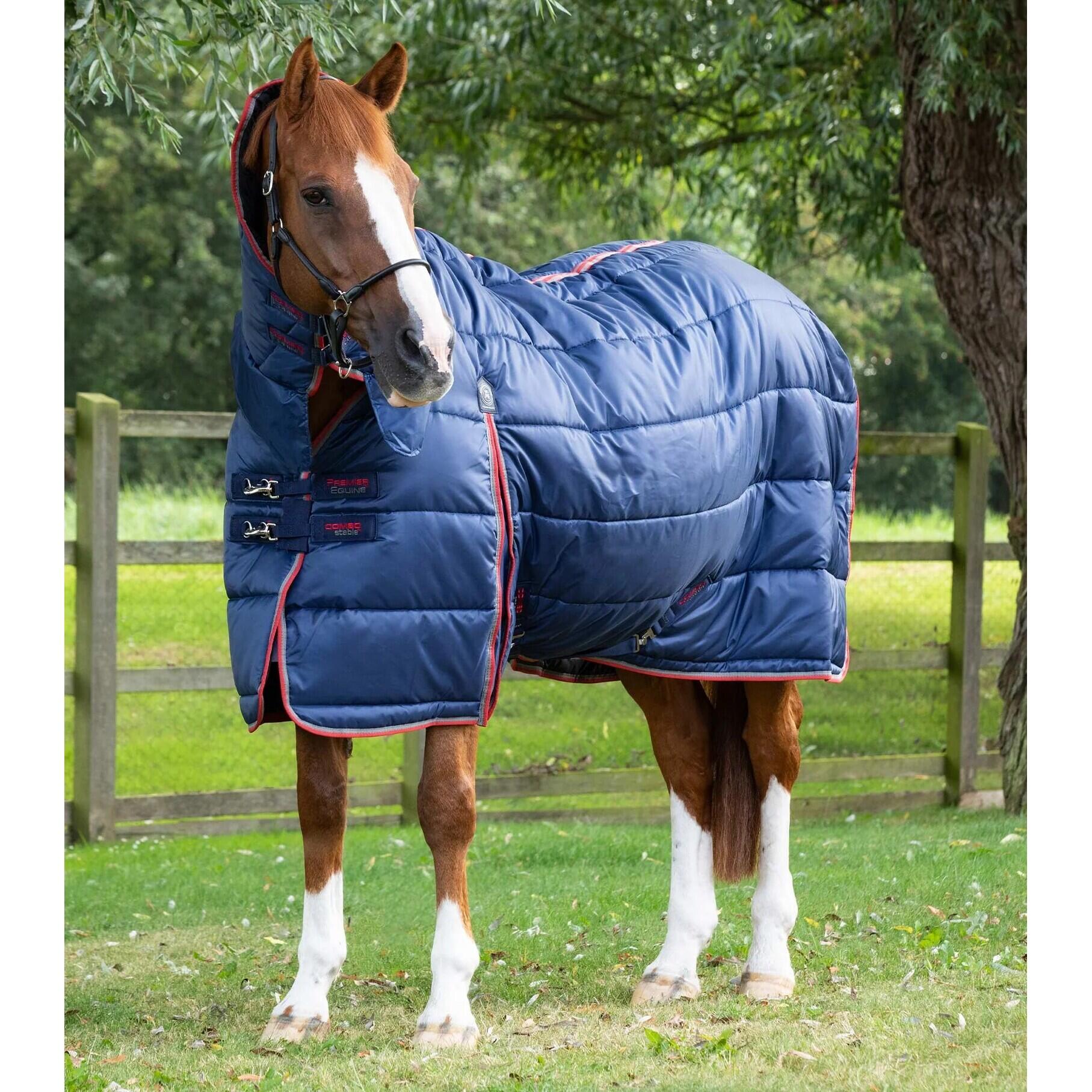 PREMIER EQUINE picture