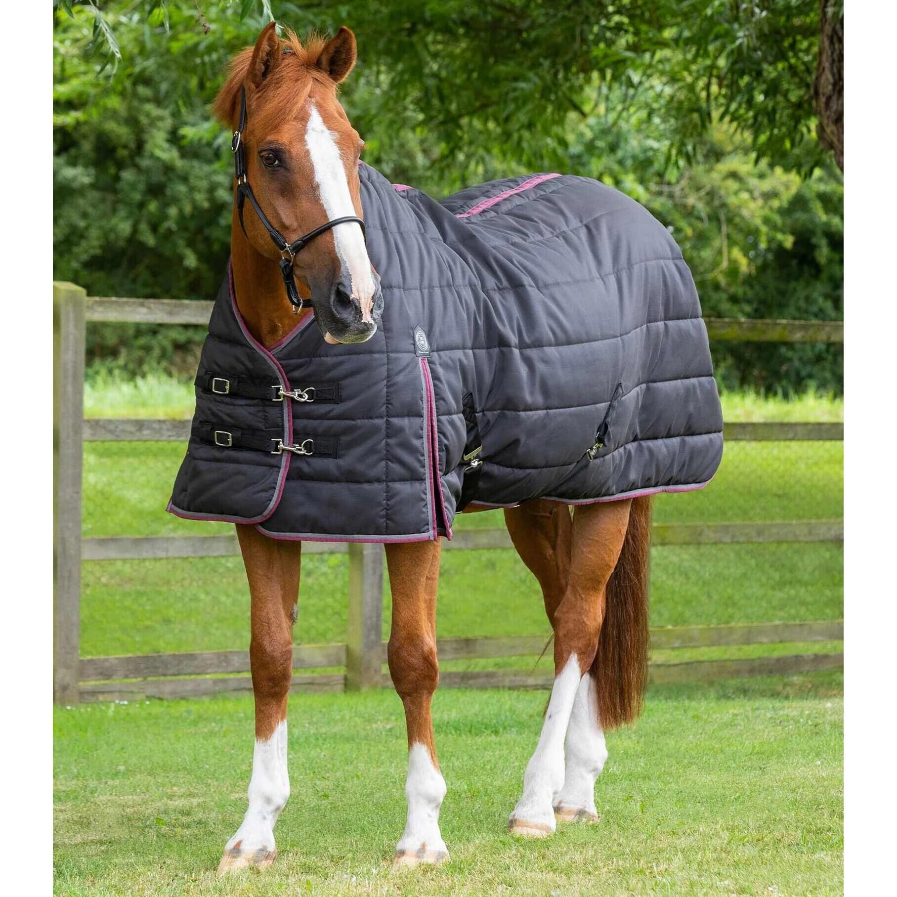 Horse stable blanket Premier Equine Garissa 200 g