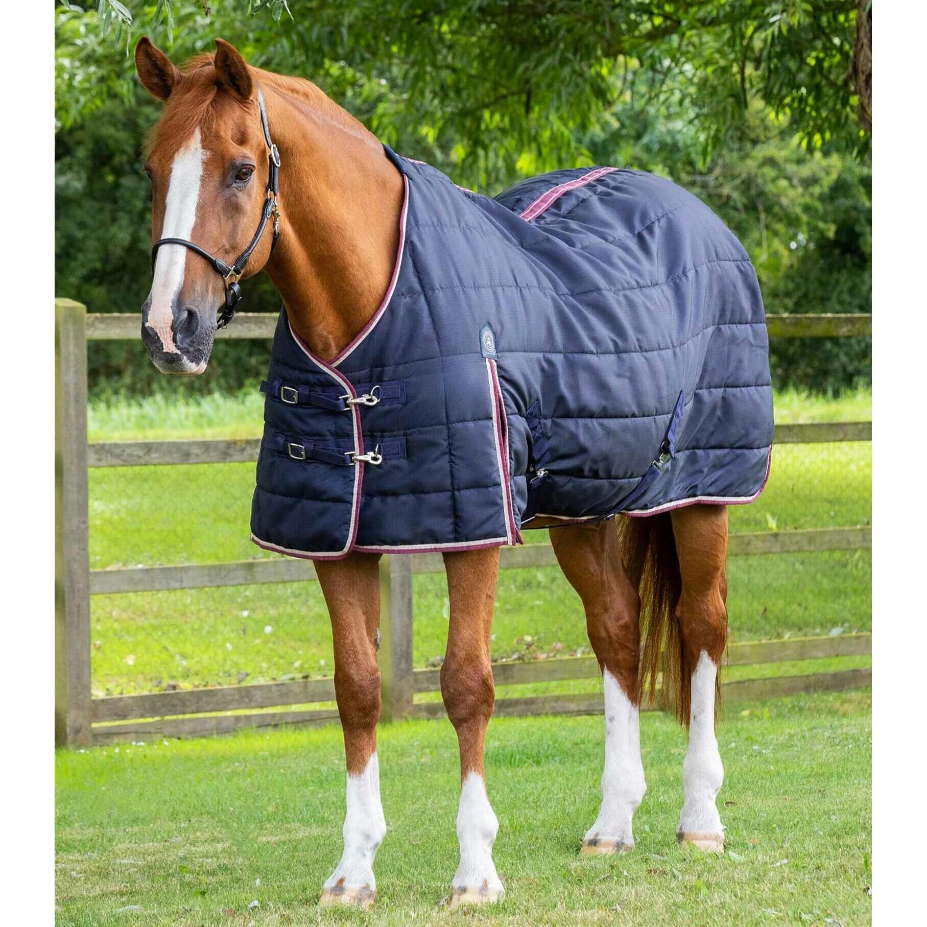 Horse stable blanket Premier Equine Garissa 100 g