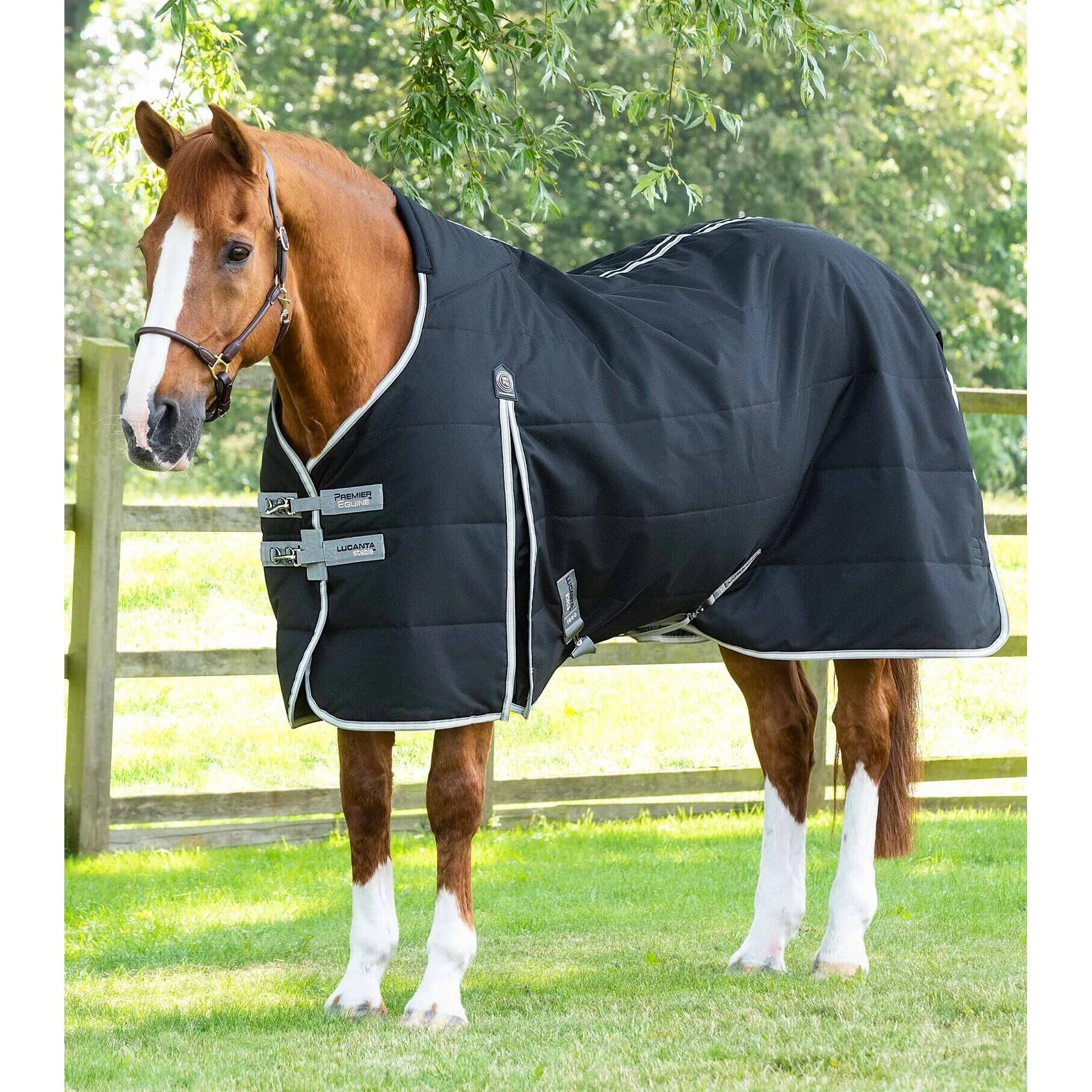 PREMIER EQUINE Coperta da stalla per cavalli Premier Equine Lucanta 100 g