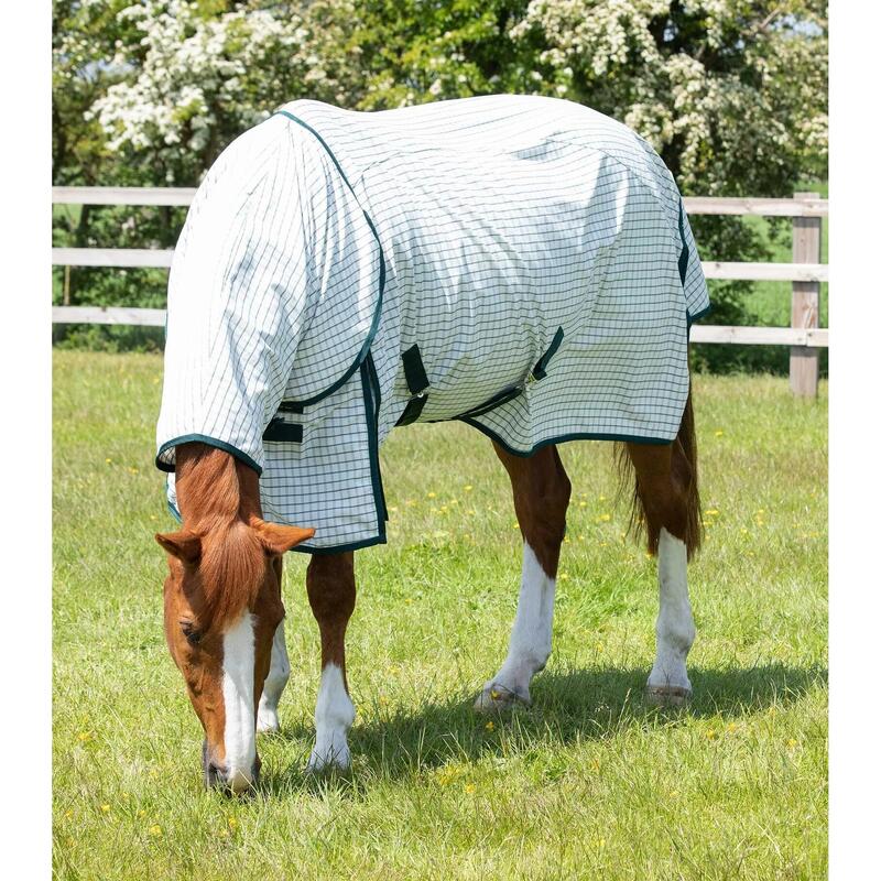 Stalldecke für Pferde aus Baumwolle mit Halsabdeckung Premier Equine