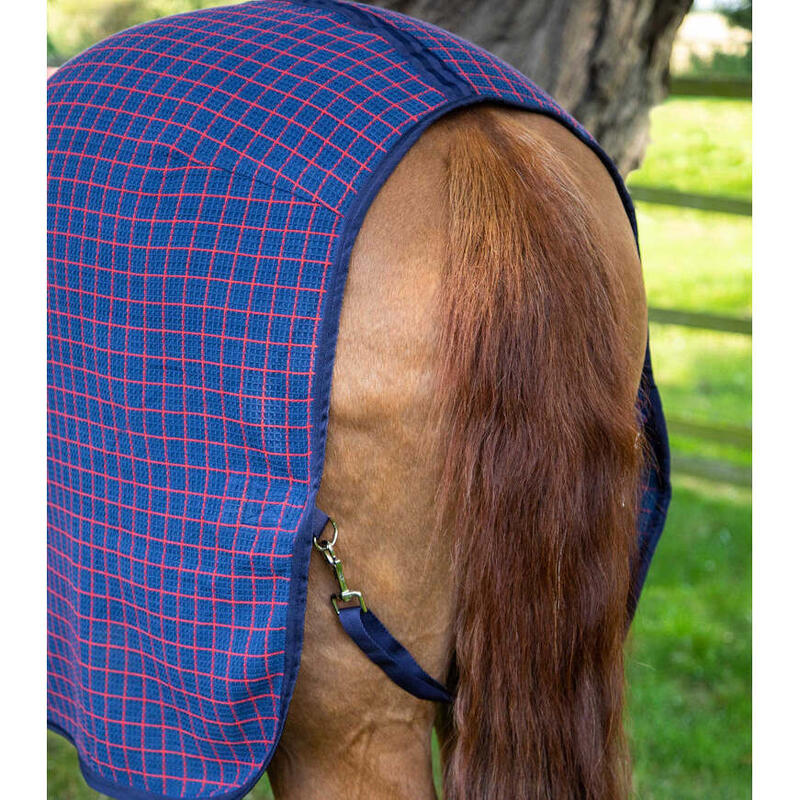 Camicia da cavallo Premier Equine 3D Waffle Cooler