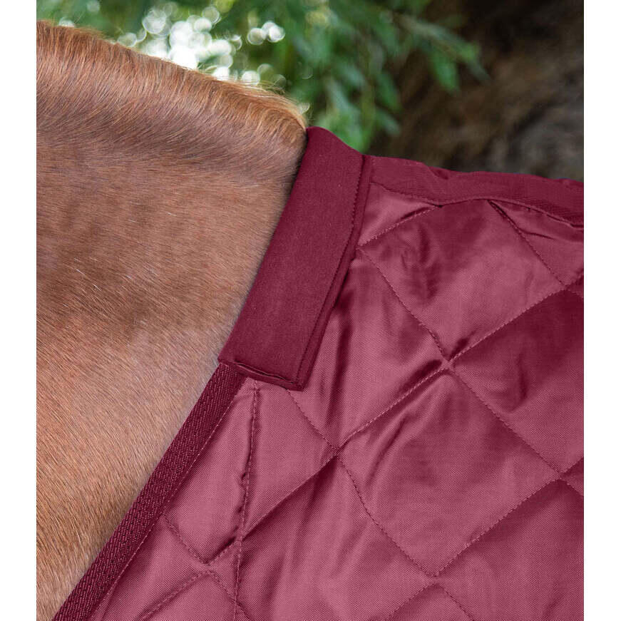 Couverture d'écurie pour cheval Premier Equine Tuscan 200 g 2/5