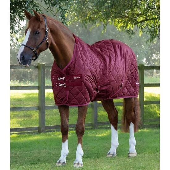 Couverture d'écurie pour cheval Premier Equine Tuscan 200 g