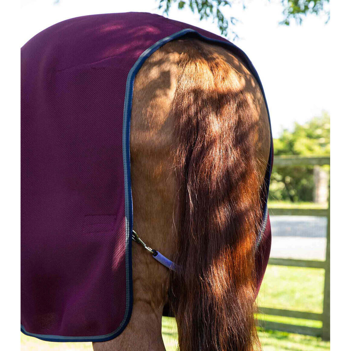 Horse rug Premier Equine Airflow Cooler