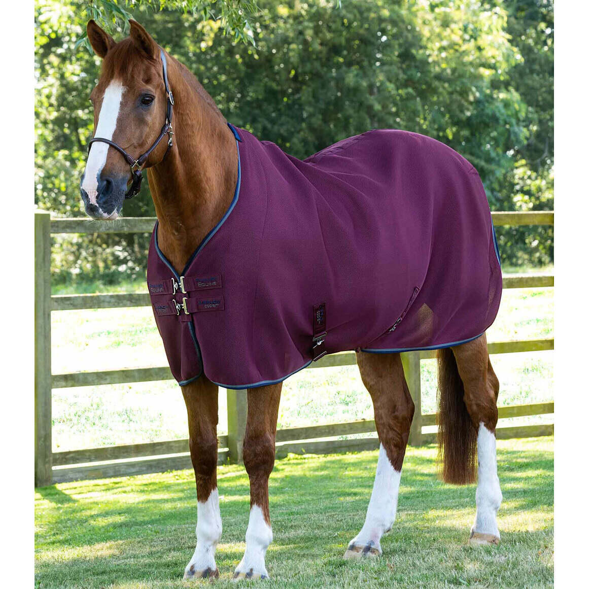 Horse rug Premier Equine Airflow Cooler