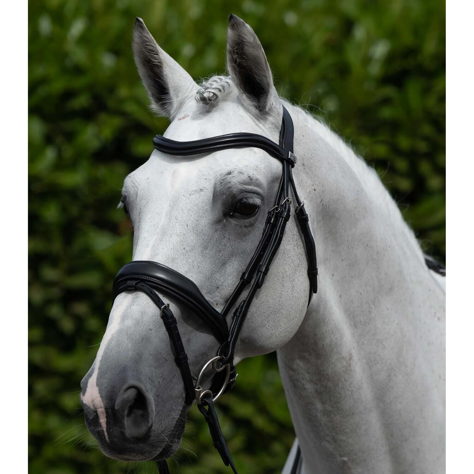 Frontal pour cheval cuir lisse Premier Equine Liscio 3/4