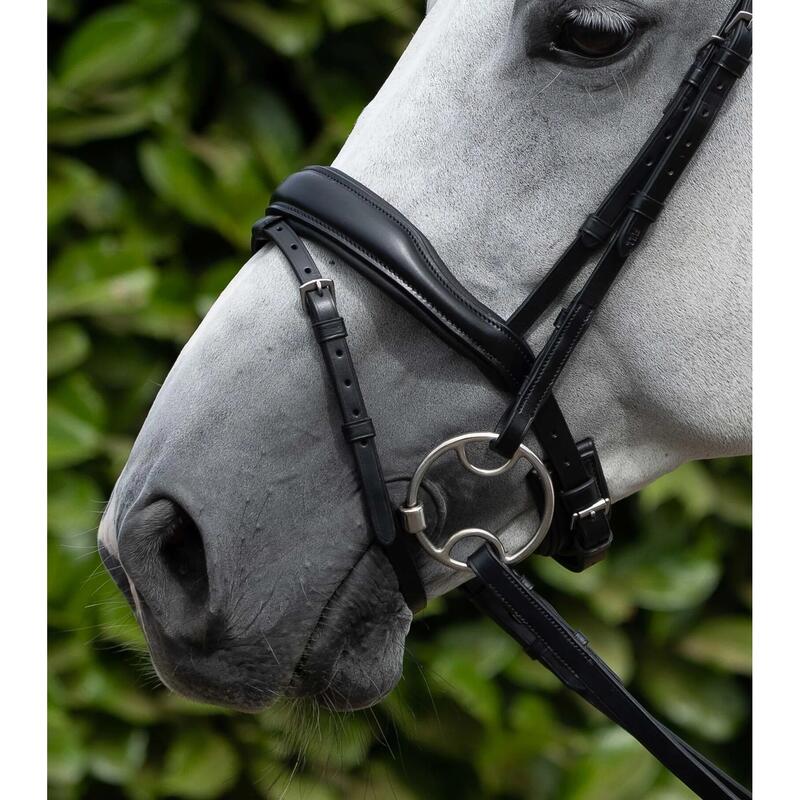 Briglia anatomica con cavezza da equitazione combinata all'inglese Premier Equin
