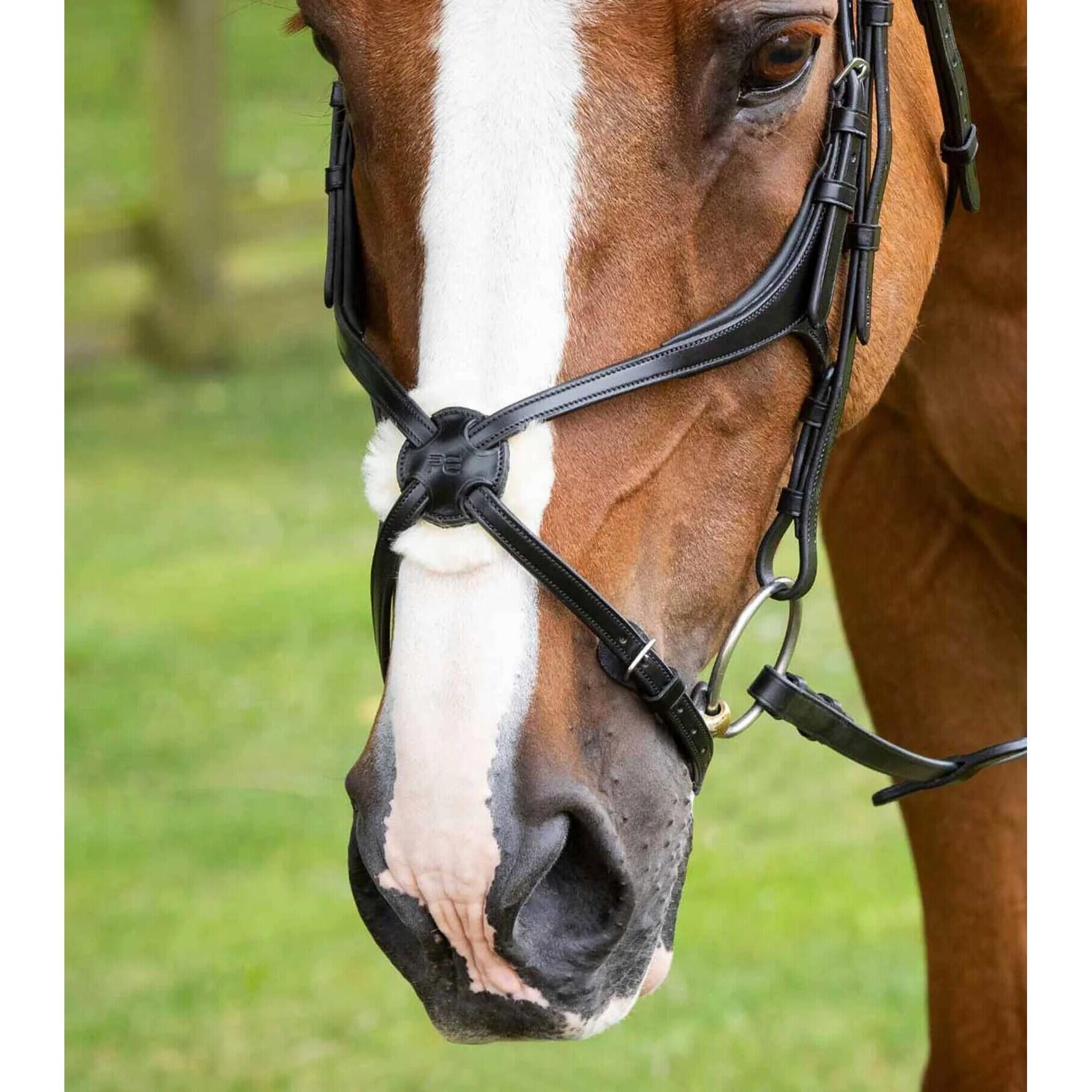 Muserolle croisée Premier Equine Glorioso Mexican 4/4