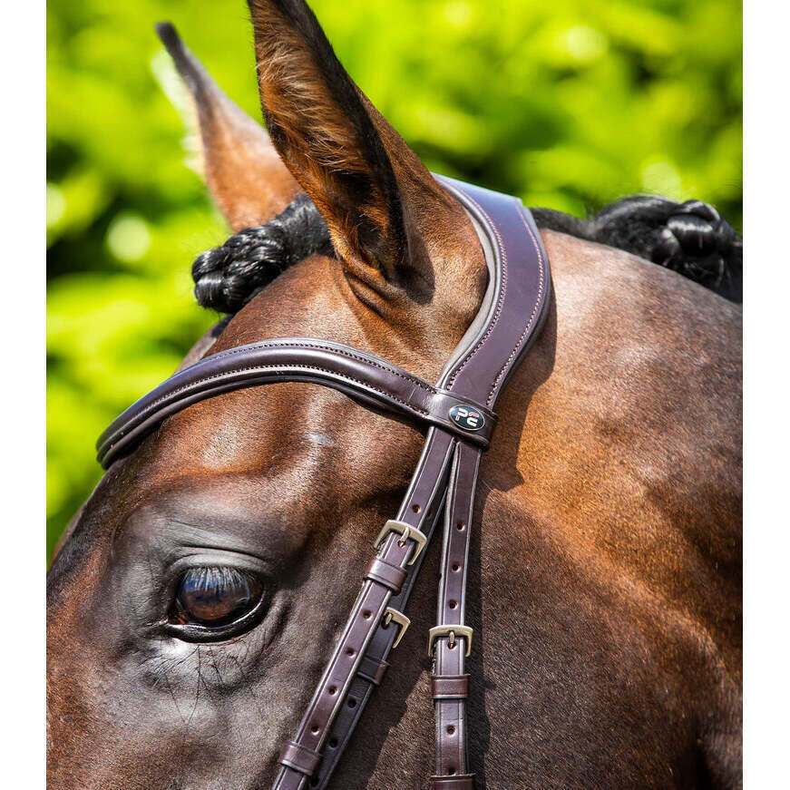 Bridon équitation anatomique équitation Premier Equine Verdura 5/6