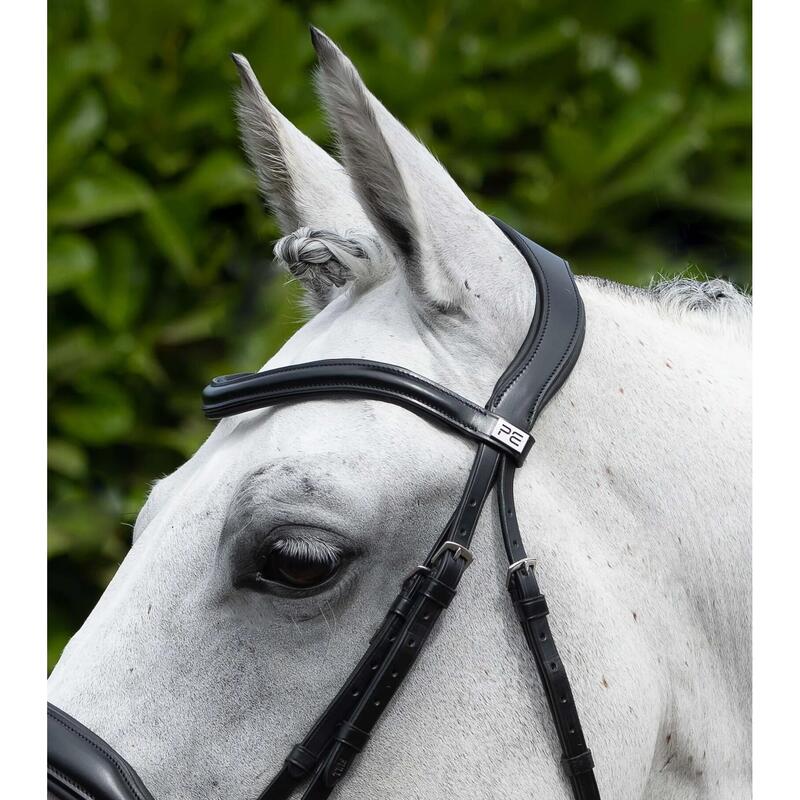 Briglia anatomica con cavezza da equitazione combinata all'inglese Premier Equin