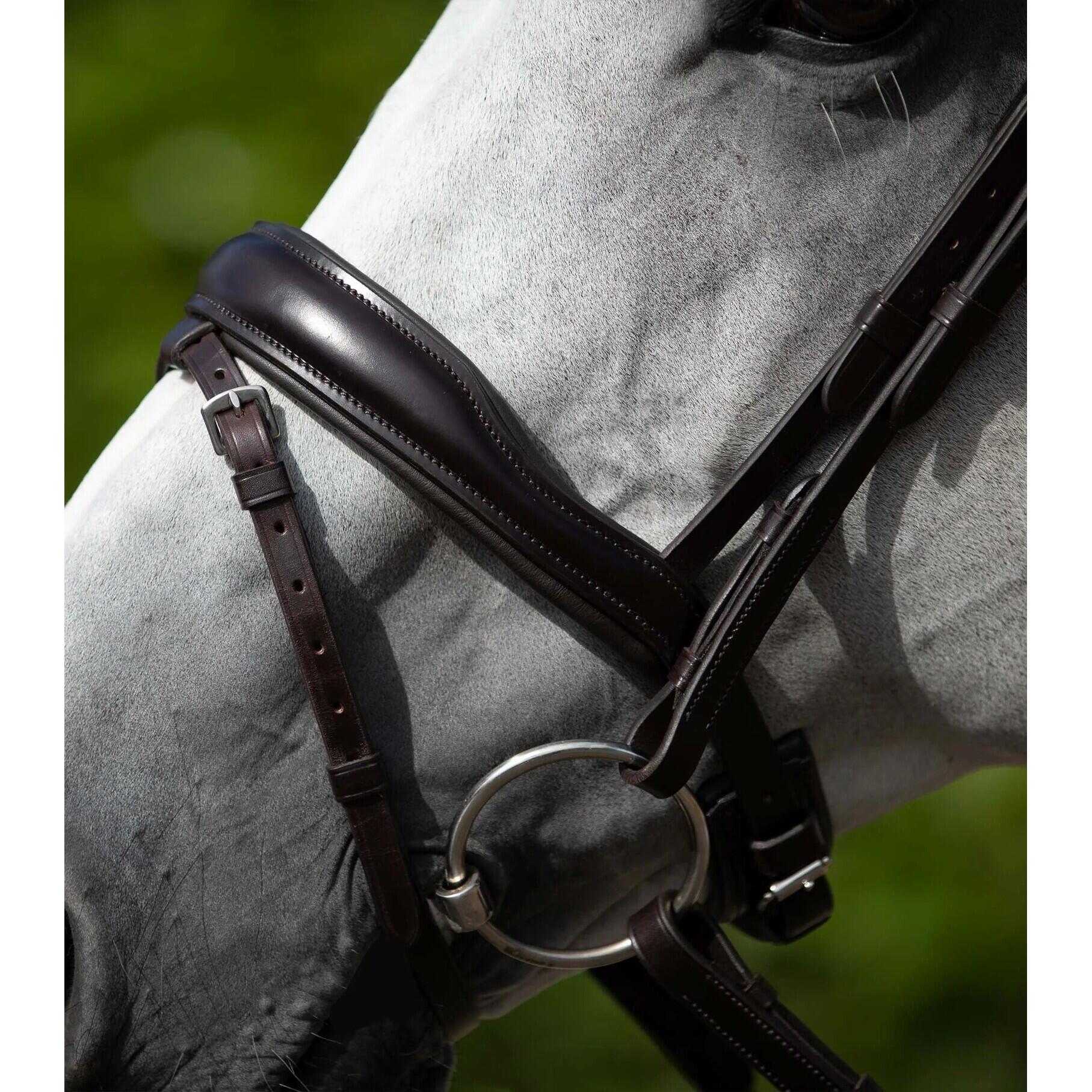 PREMIER EQUINE Anatomisch hoofdstel met Engels gecombineerd rijhalster Premier Equine Rizzo