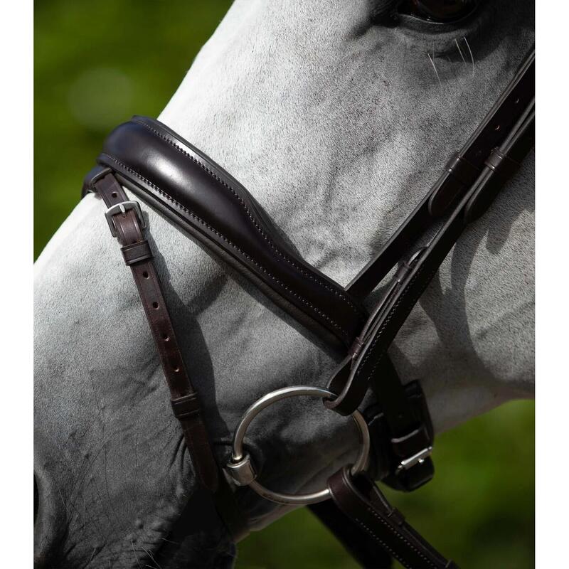 Bridon anatomique avec muserolle combinée Premier Equine Rizzo