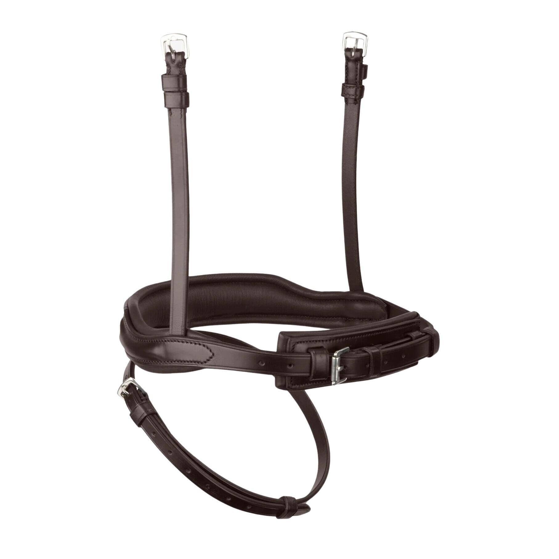 Gecombineerde anatomische neusriem Premier Equine Rizzo 4/5