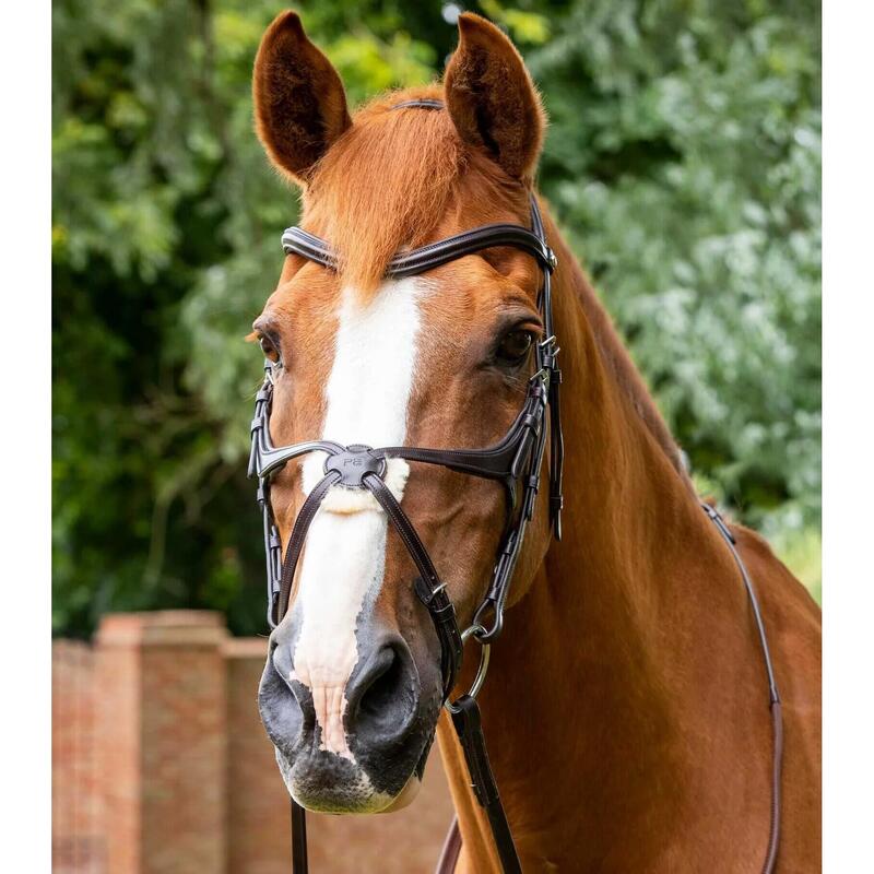 Briglia snaffle Premier Equine Glorioso