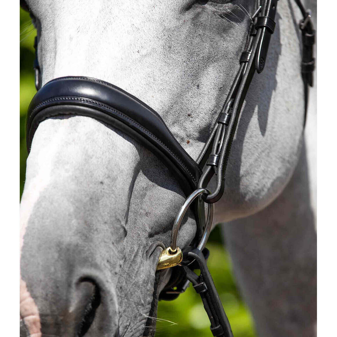 Anatomical riding bridle Premier Equine Verdura