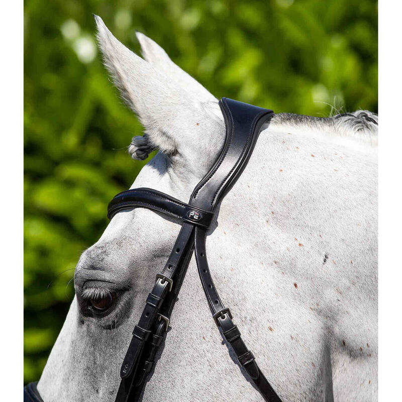 Bridon équitation anatomique équitation Premier Equine Verdura