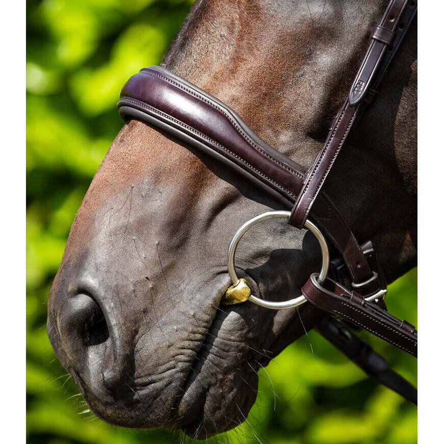 Muserolle anatomique pour cheval Premier Equine Verdura Cavesson 2/6