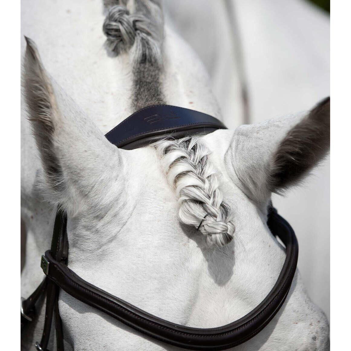 Briglia anatomica da equitazione Premier Equine Verdura 4/6
