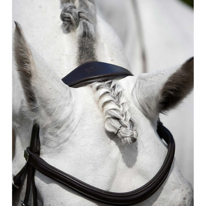 Bridon équitation anatomique équitation Premier Equine Verdura