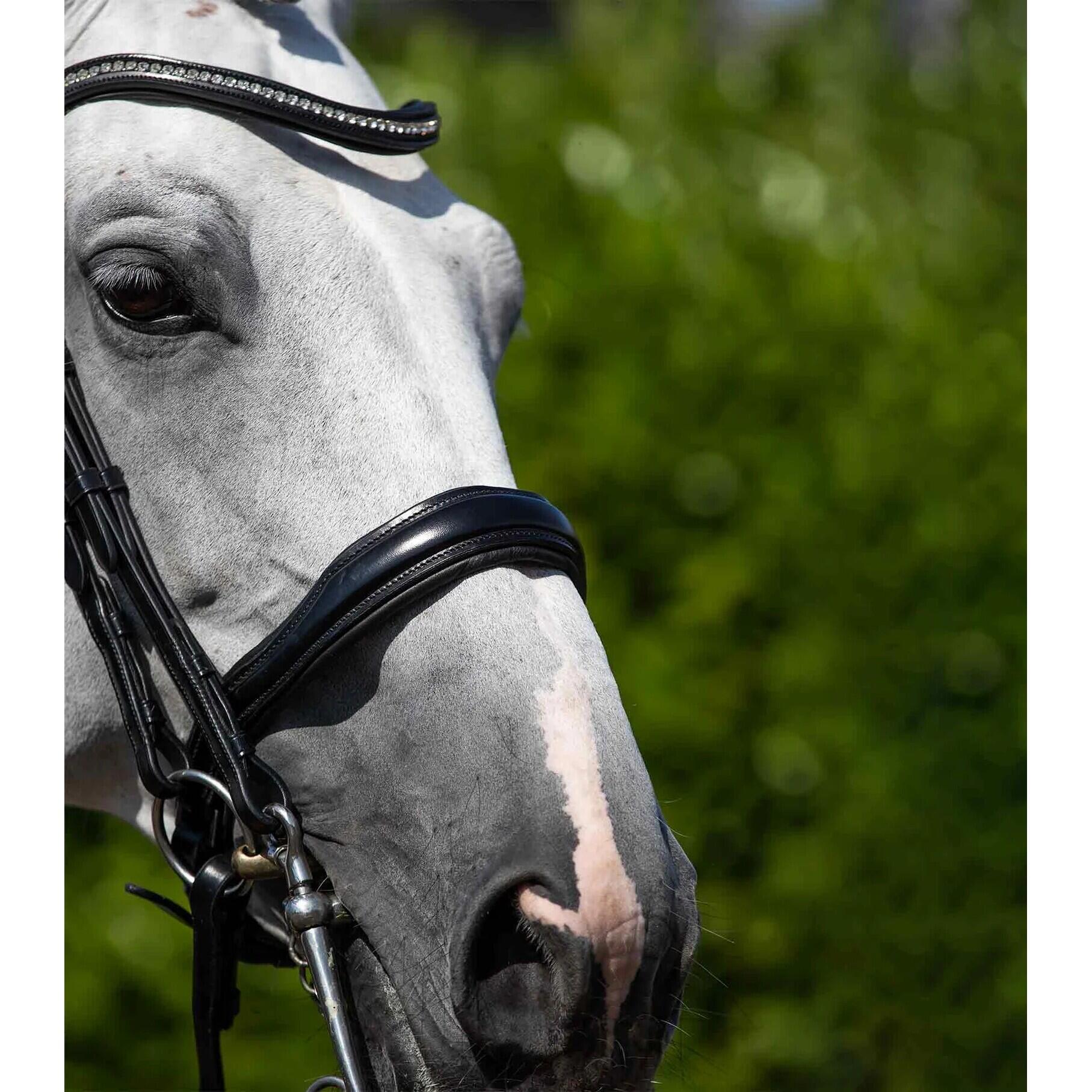 Anatomisch dubbel hoofdstel Premier Equine Abriano 4/4