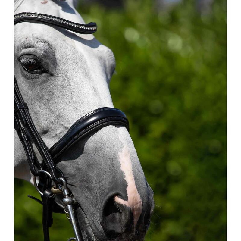 Bridons équitation double anatomique Premier Equine Abriano
