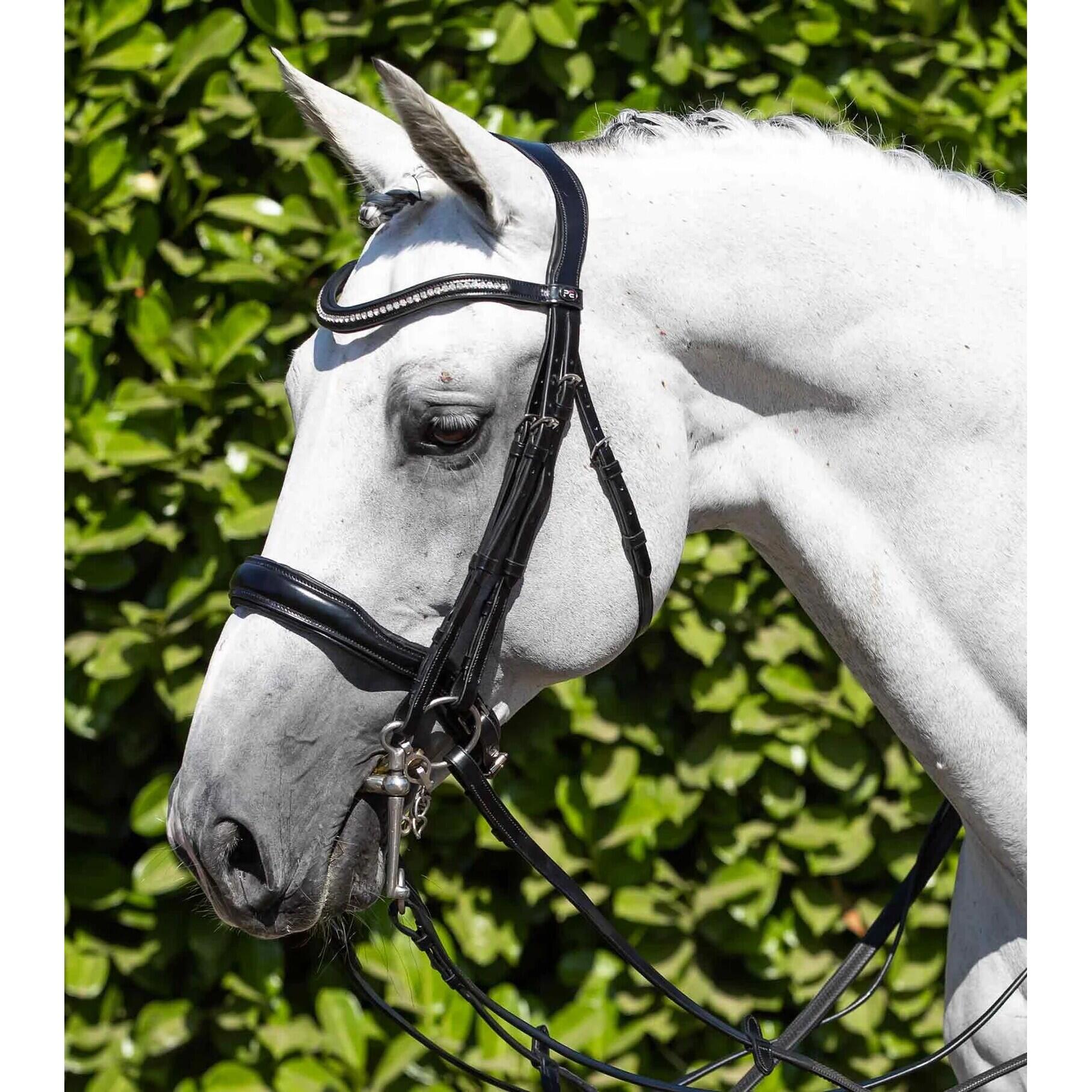 Anatomisch dubbel hoofdstel Premier Equine Abriano 3/4