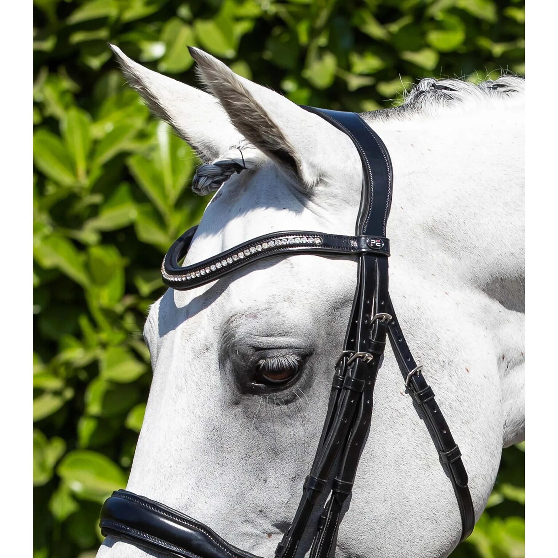 Anatomisch dubbel hoofdstel Premier Equine Abriano 2/4