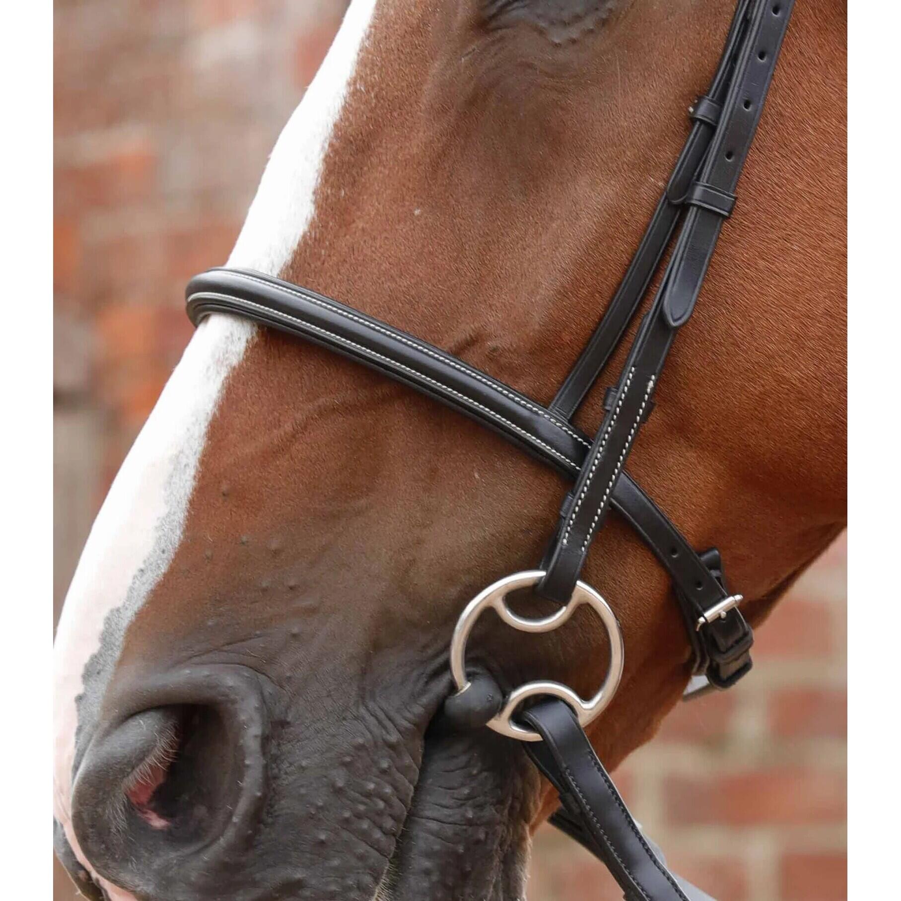 Bridon Premier Equine Mossimo 3/4