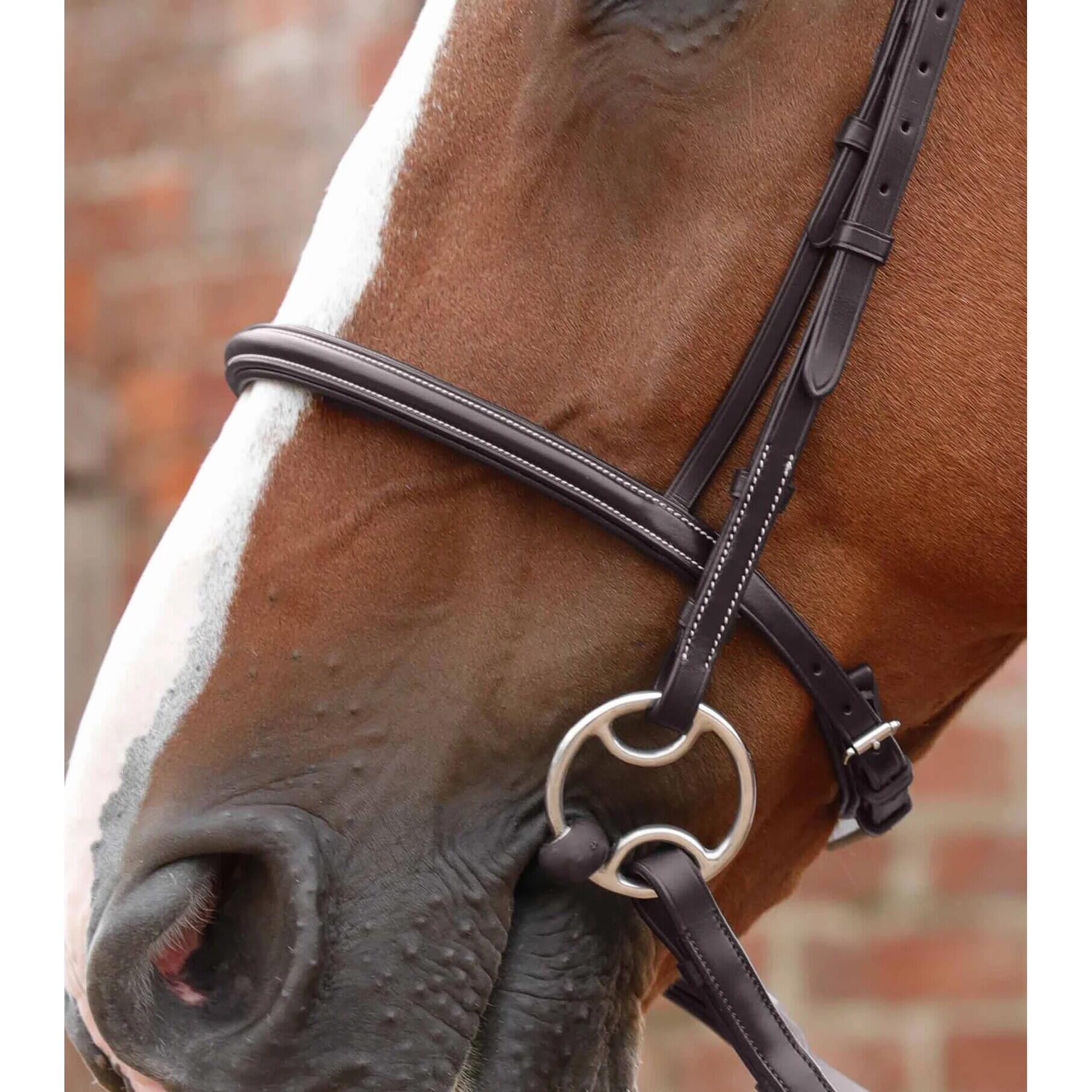 Hoofdstel Premier Equine Mossimo 3/4
