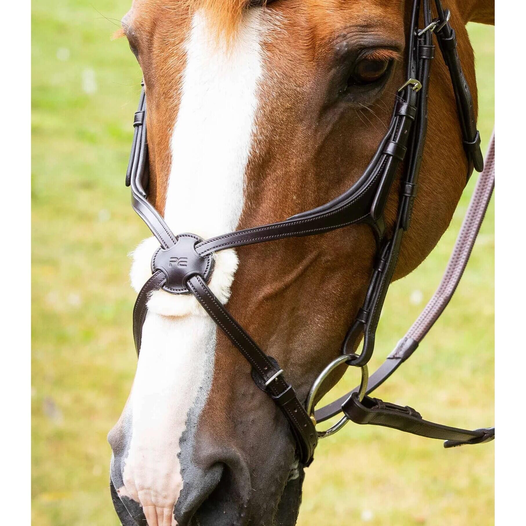 PREMIER EQUINE Gekruiste neusriem Premier Equine Glorioso Mexican