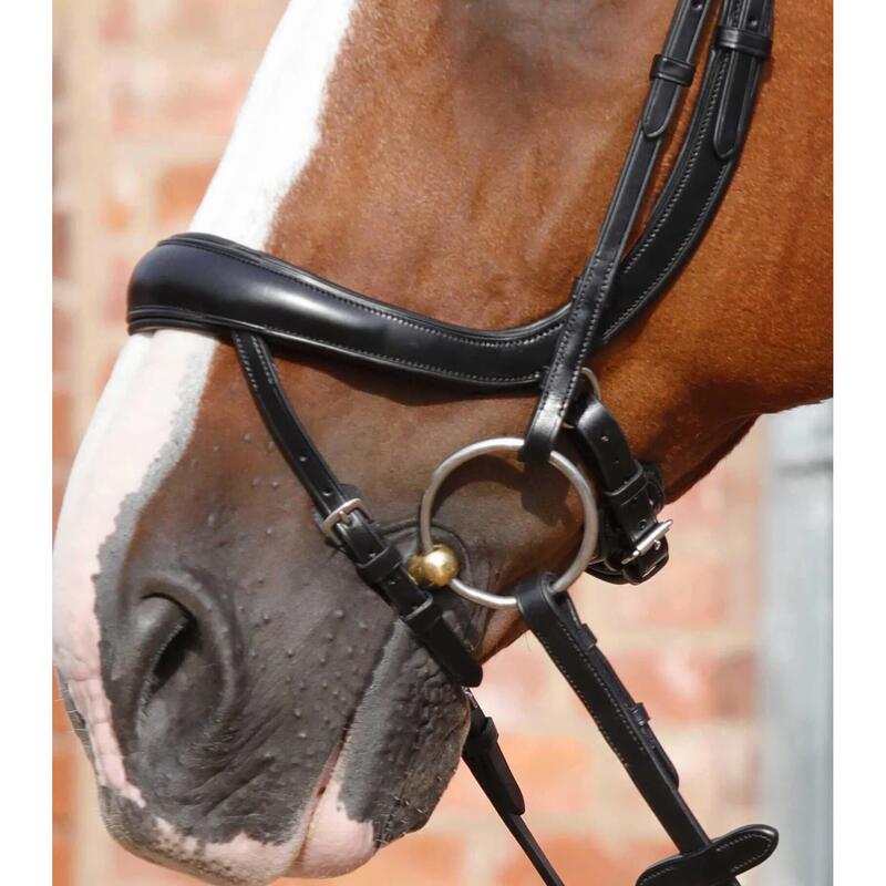 Briglia snaffle combinata anatomica Premier Equine Savuto