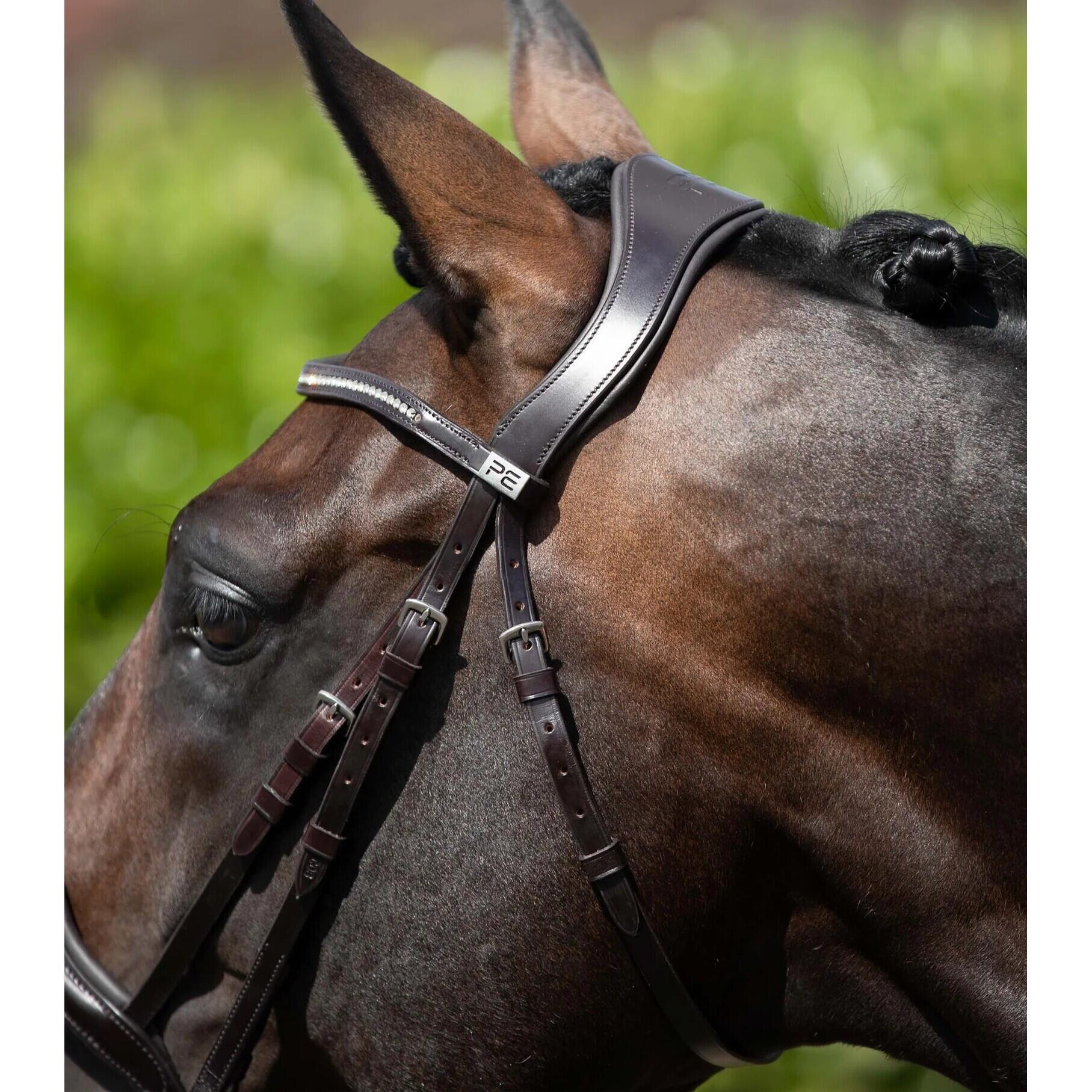 Anatomisch combinatie hoofdstel Premier Equine Stellazzio 3/4