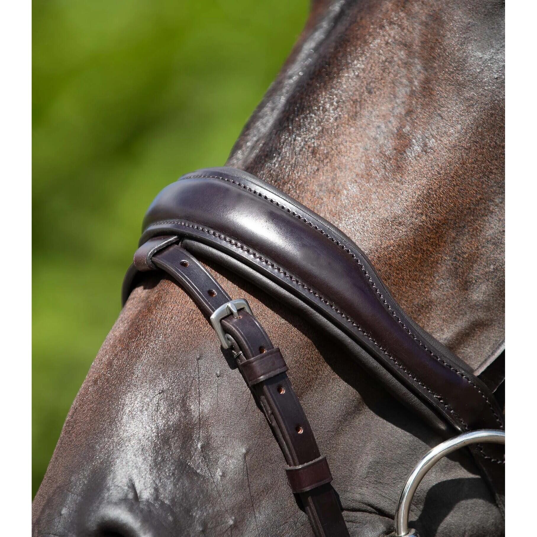 Anatomisch combinatie hoofdstel Premier Equine Stellazzio 4/4