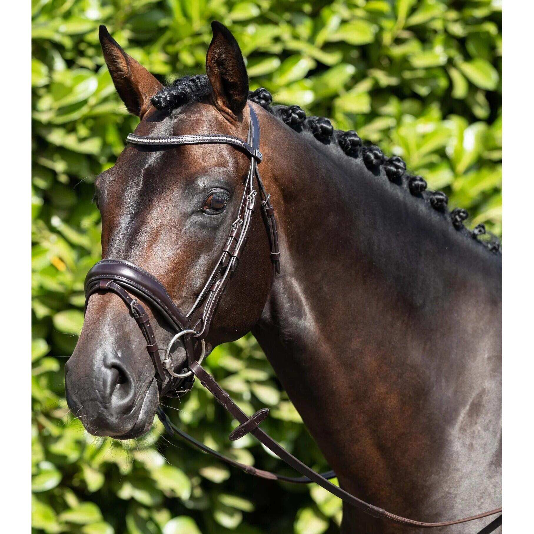 PREMIER EQUINE Anatomisch combinatie hoofdstel Premier Equine Stellazzio
