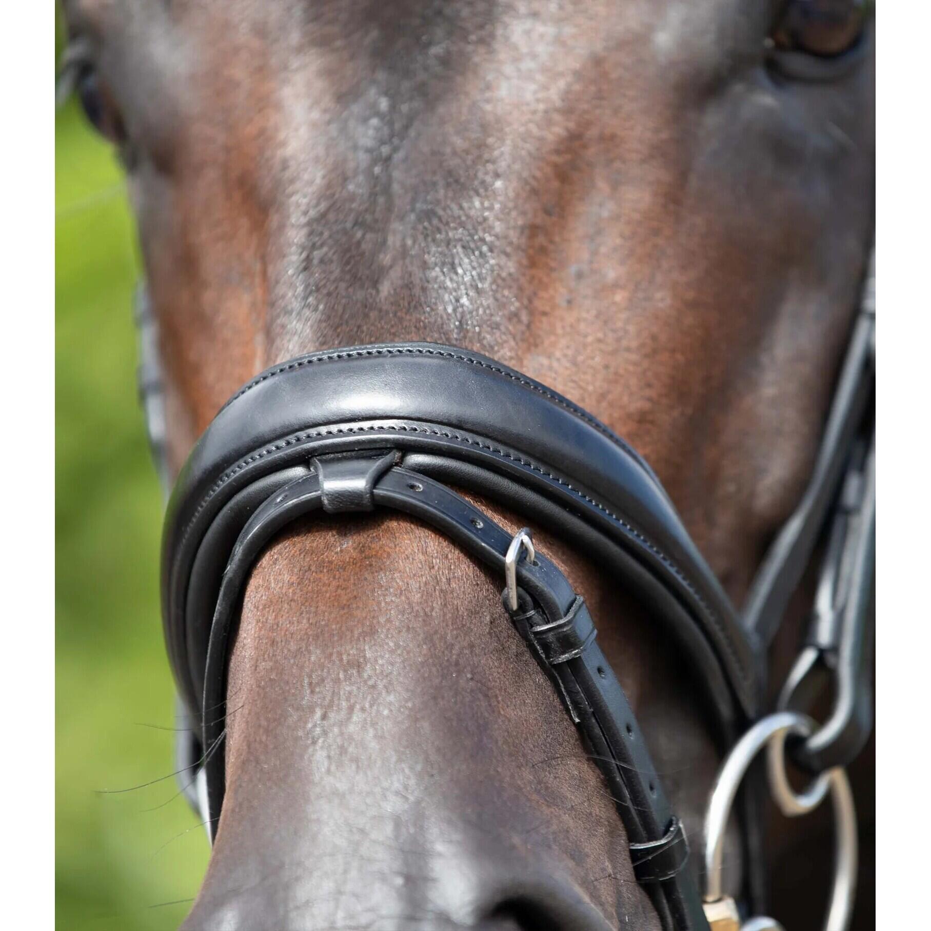 Briglia snaffle combinata anatomica Premier Equine Stellazzio 3/4