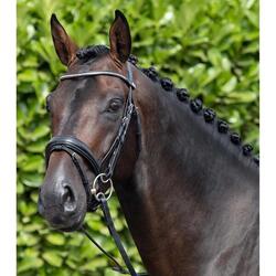 Bridon anatomique muserolle combinée Premier Equine Stellazzio