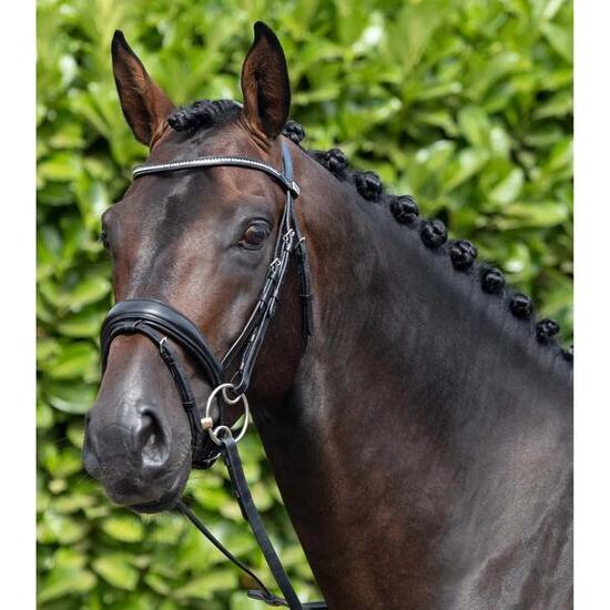 Bridon anatomique muserolle combinée Premier Equine Stellazzio