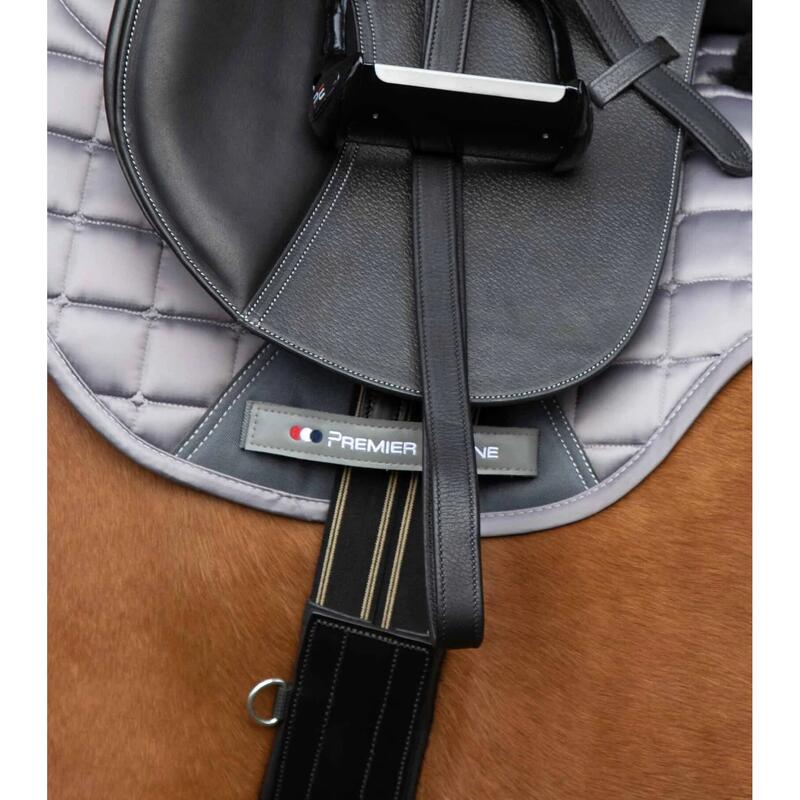 Anatomisch geformter Latzgurt Reiten aus Leder Premier Equine Lizzano