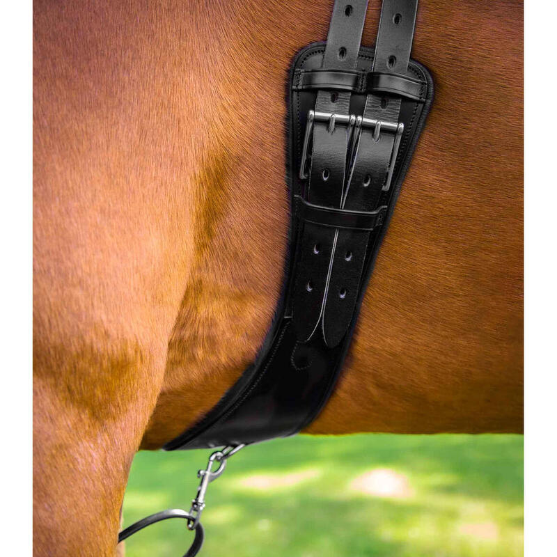 Anatomischer Reitgurt aus Leder Premier Equine Tamarro