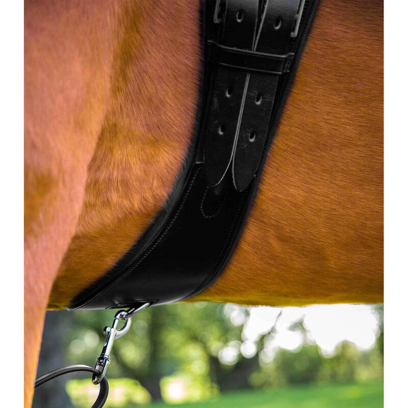 Anatomischer Reitgurt aus Leder Premier Equine Tamarro