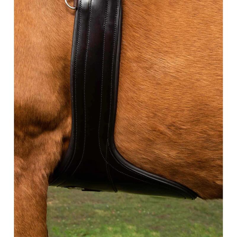 Anatomisch geformter Latzgurt Reiten aus Leder Premier Equine Lizzano