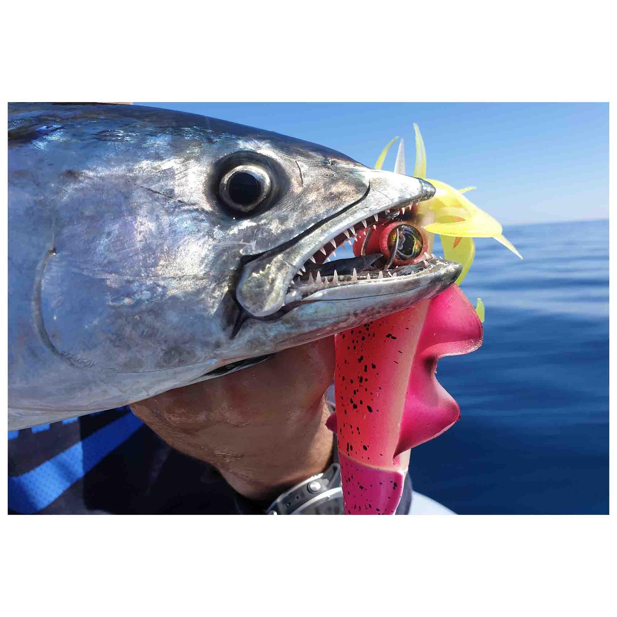 Anzuelo doble assist tentáculos jigging spinning Xipi JLC / Xoco JLC 3/3