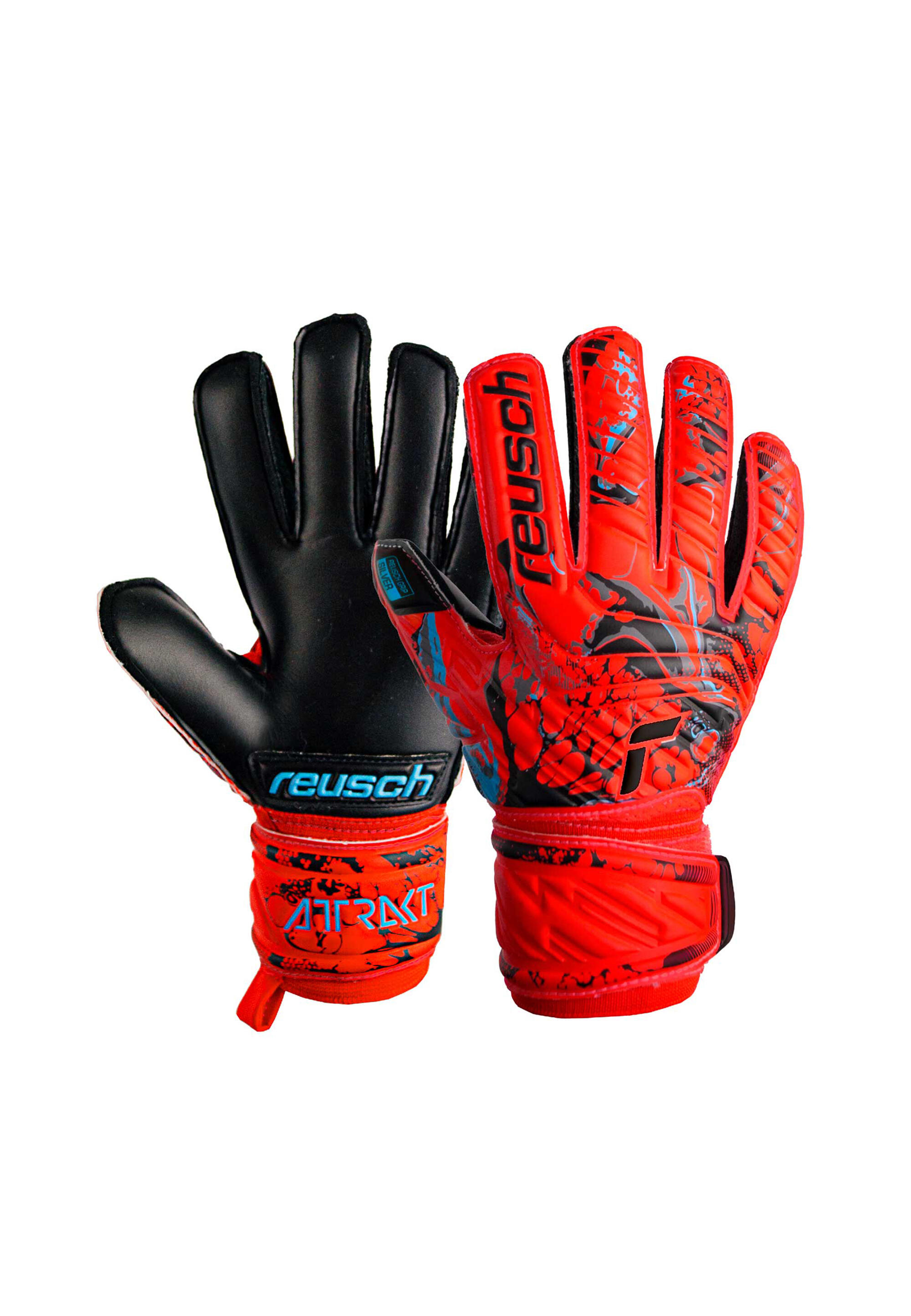REUSCH picture