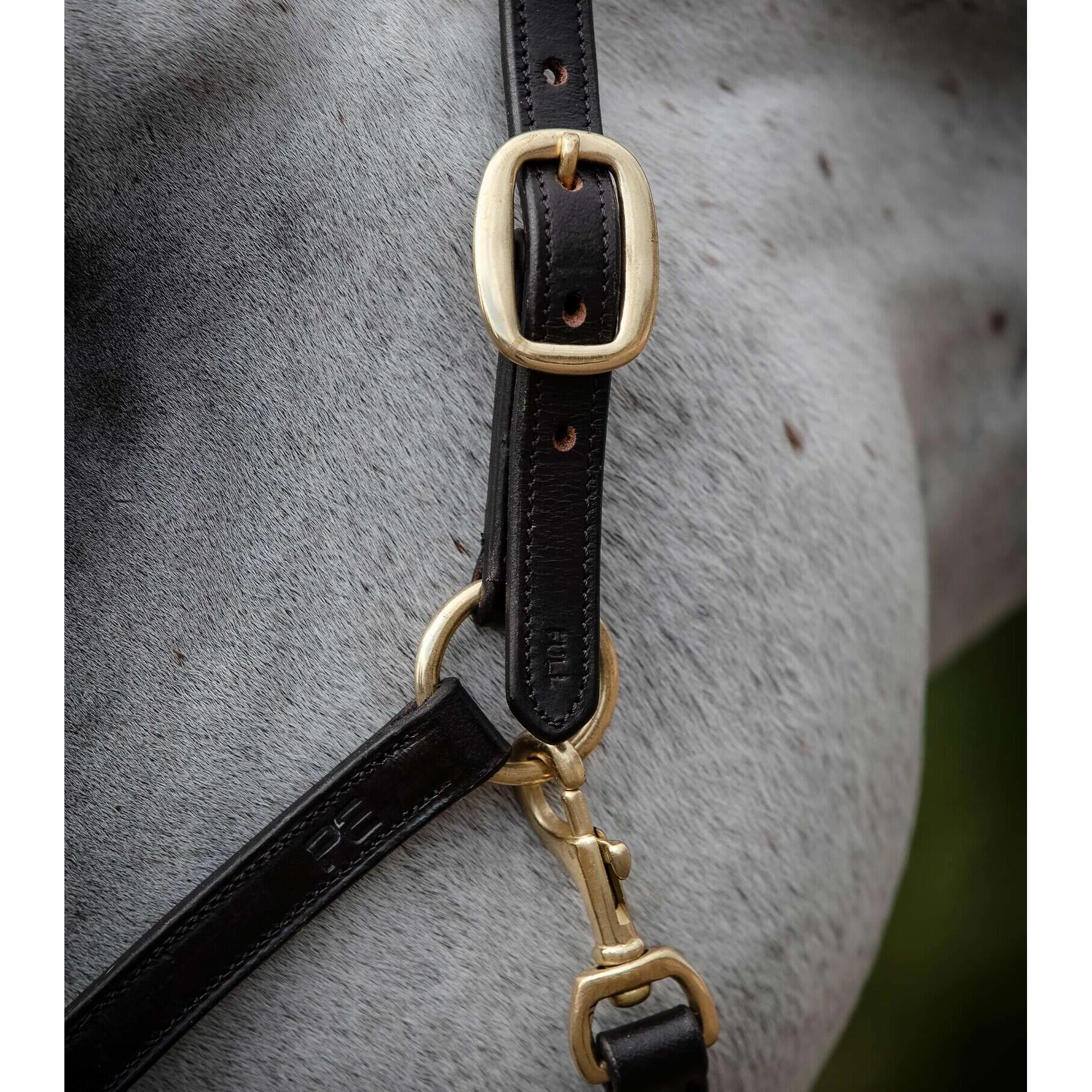 Gepolstertes Halfter aus Leder Premier Equine 4/4