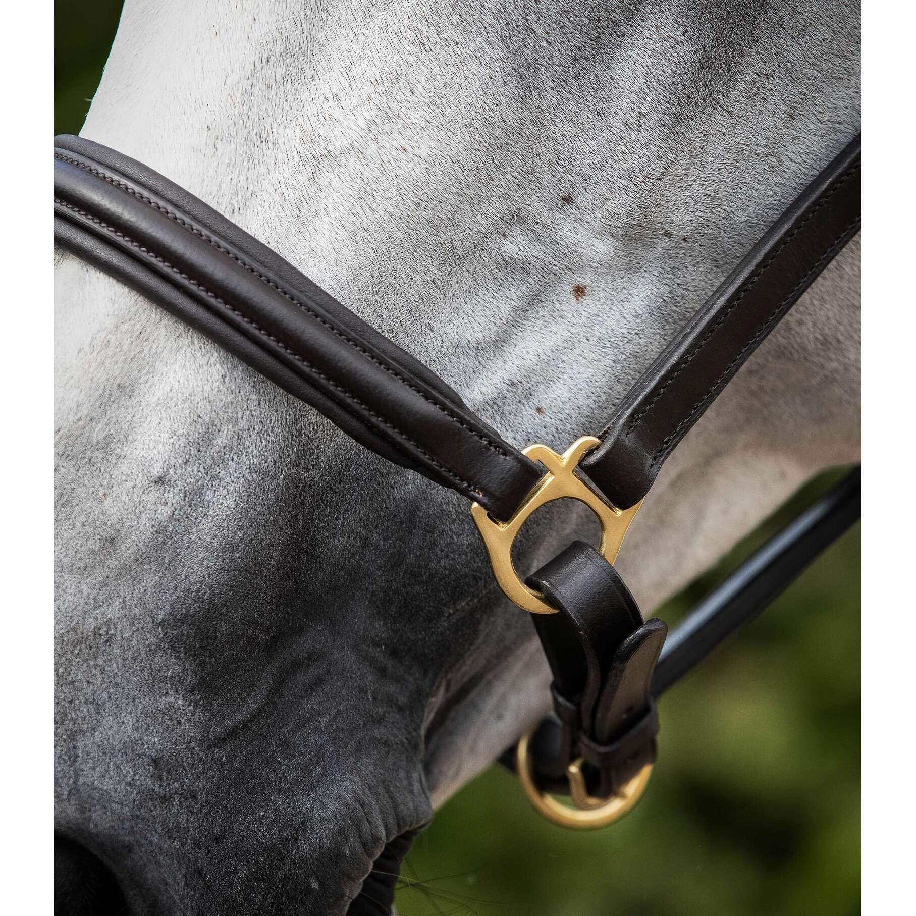 Gepolstertes Halfter aus Leder Premier Equine 3/4