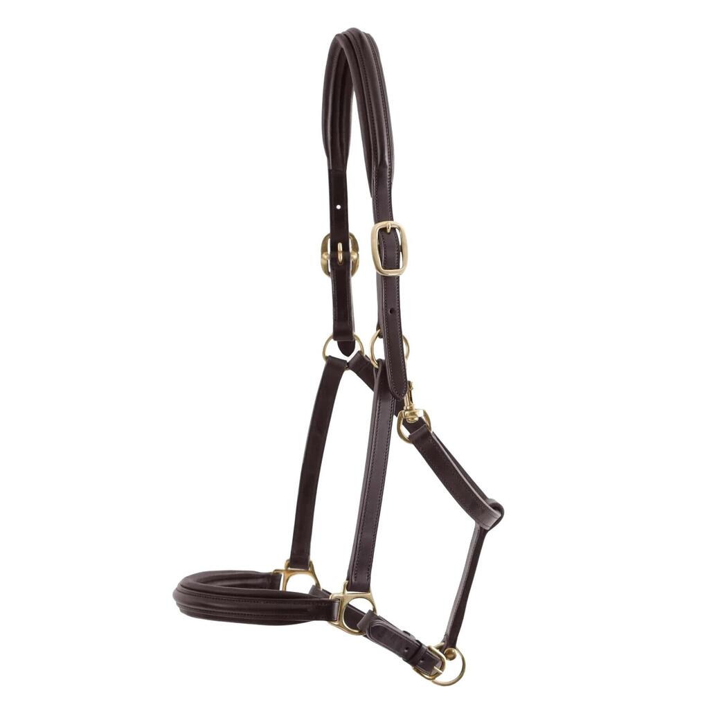 Leather padded horse halter Premier Equine