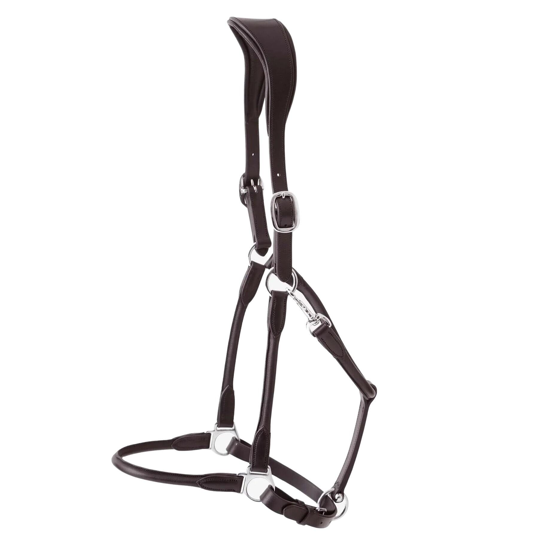 Premier Equine - Licol Pour Cheval Anatomique Roulé Cuir Premier Equine Hennaroso - Licol - Marron - Xfs - Decathlon