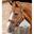 Fleece gevoerd halster voor paarden Premier Equine